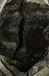 Septarian Dragon Egg Geode - Black Crystals #134634-1
